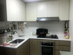 Lake Life (D22), Condominium #597232951